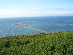 Le sillon de Talbert